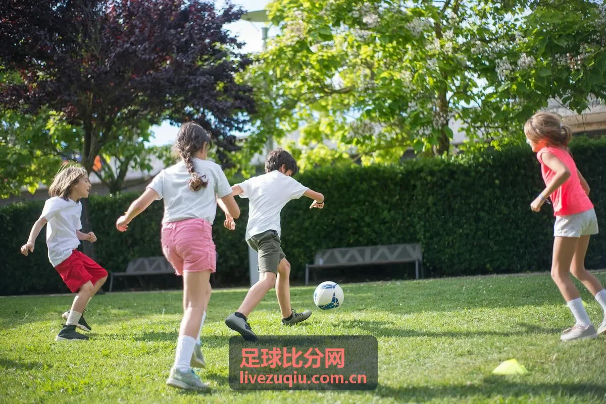 足球比分网 - 法国国家队